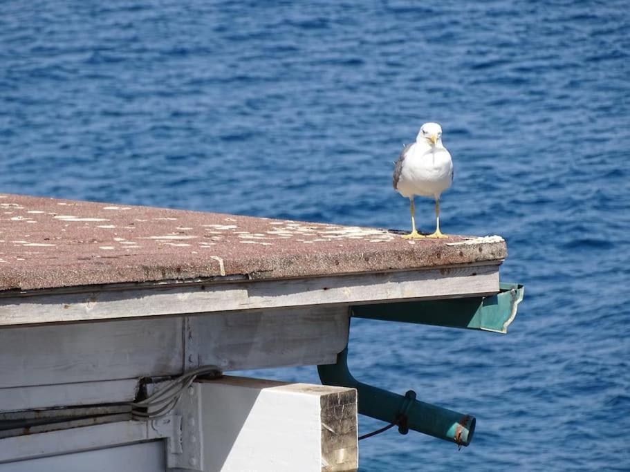 فيلا Casa Vela تْشيفالو المظهر الخارجي الصورة